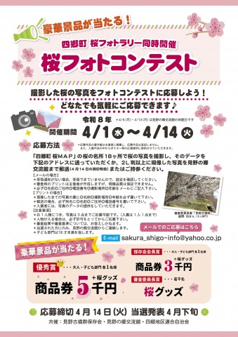 202603sakura-04